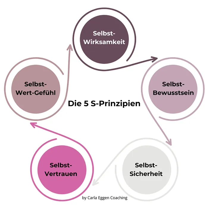 Illustration: Die fünf S-Prinzipien für Selbstwirksamkeit im Business Coaching