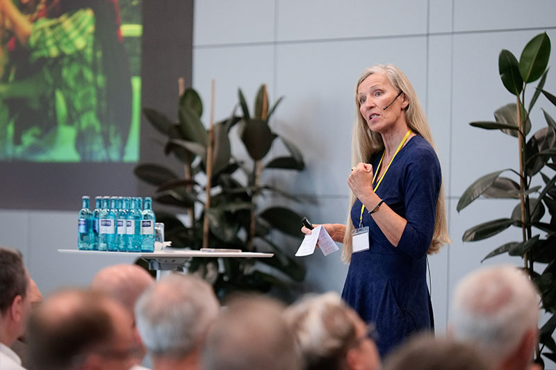 Business Coaching: Coaching für berufliche Weiterentwicklung