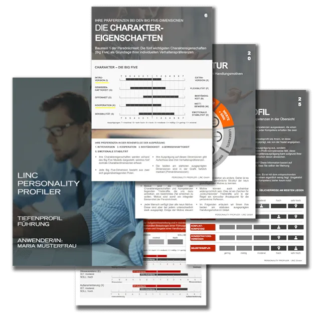 Illustration: LINC Personality Profiler