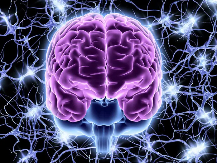 Symbolbild für bilaterale Hemisphärenstimulation